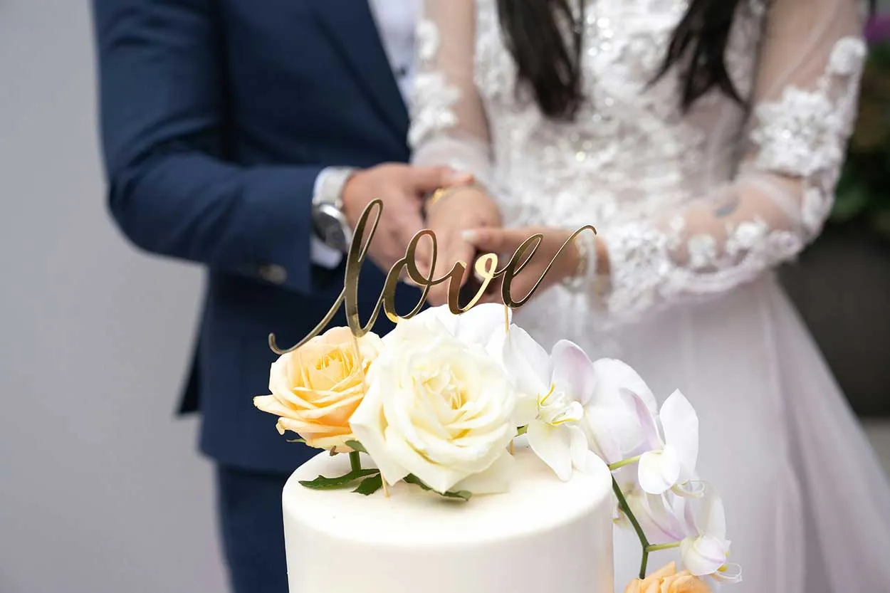 Wedding cake cutting
